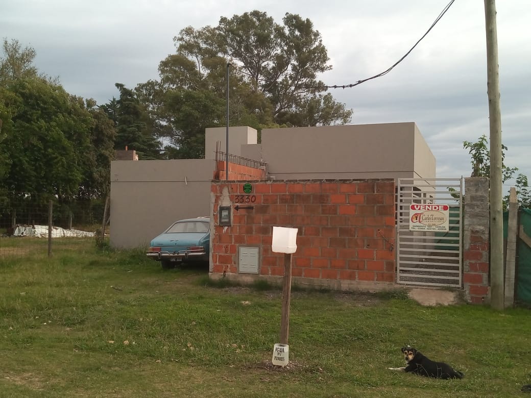 banner-image