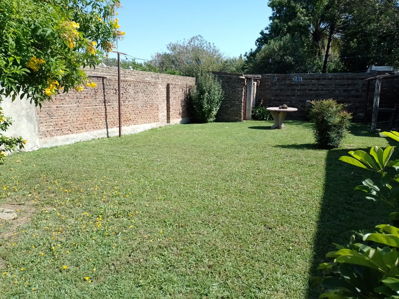 banner-image