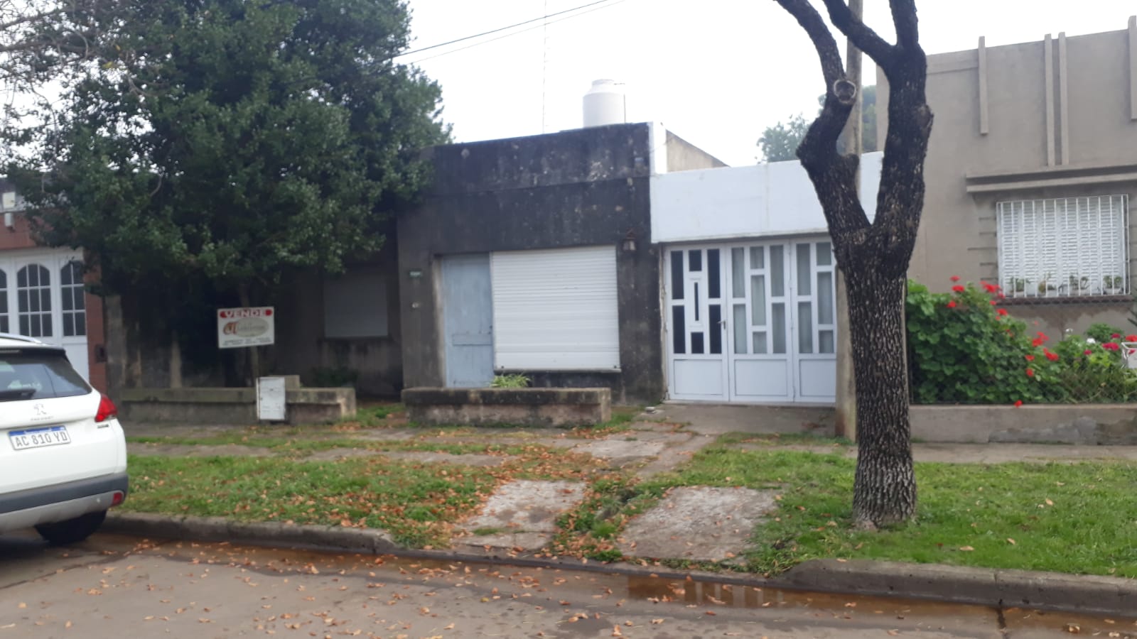 banner-image